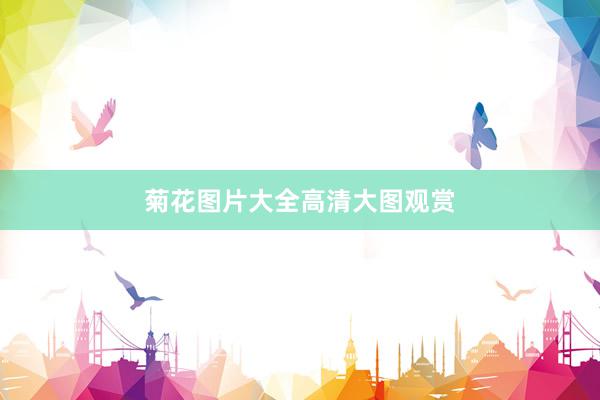 菊花图片大全高清大图观赏